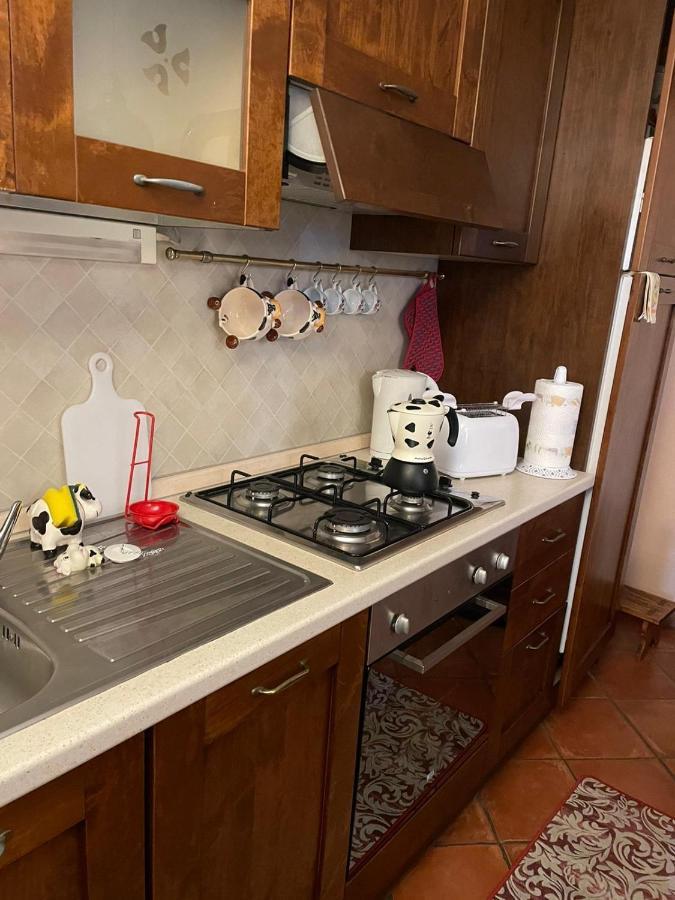 Appartamento “Sut L'Ala” Netro Luaran gambar